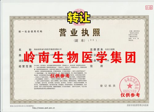 嶺南速度 從工商特批到醫療用品專營的躍遷之路